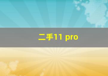 二手11 pro